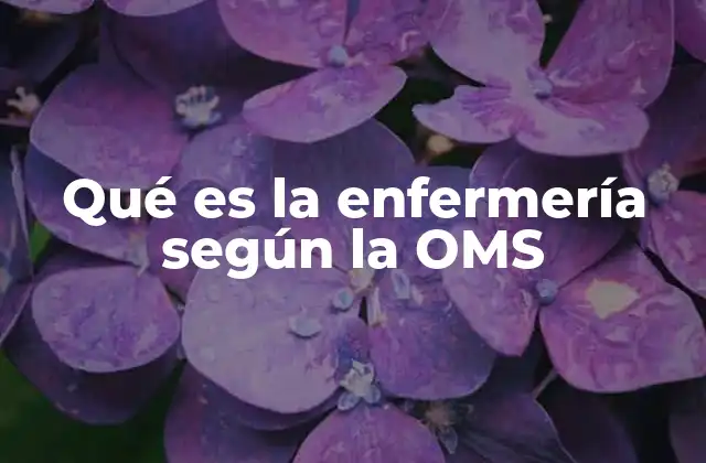 Qué es la Enfermería según la Oms