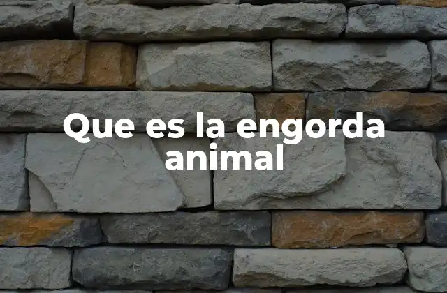 Que es la Engorda Animal