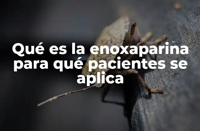 Qué es la Enoxaparina para Qué Pacientes Se Aplica