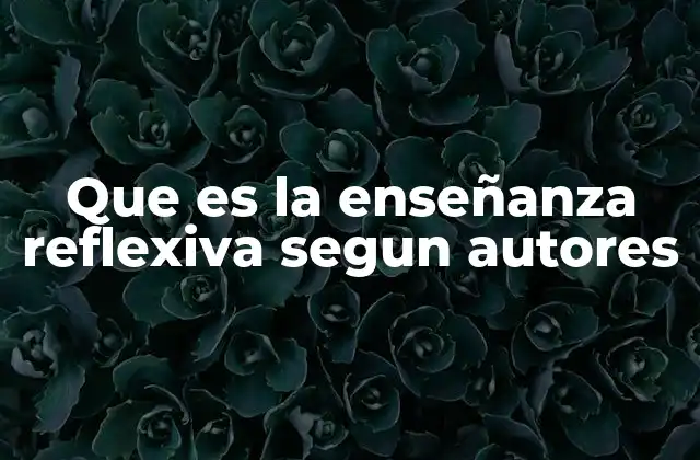 Que es la Enseñanza Reflexiva Segun Autores