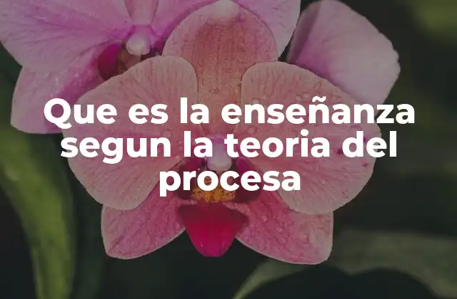 Que es la Enseñanza Segun la Teoria Del Procesa
