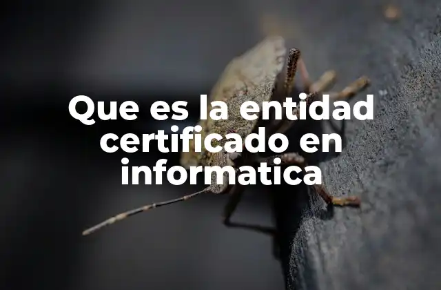 Que es la Entidad Certificado en Informatica 2 El papel de las entidades certificadoras en la seguridad digital