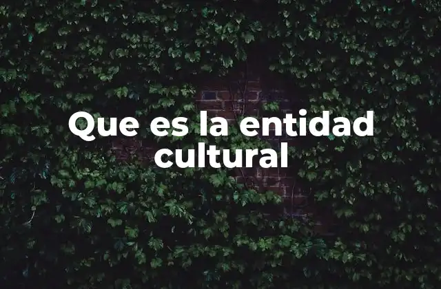 Que es la Entidad Cultural