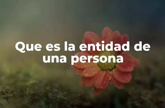 Que es la Entidad de una Persona