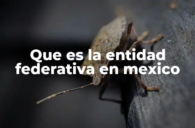 Que es la Entidad Federativa en Mexico