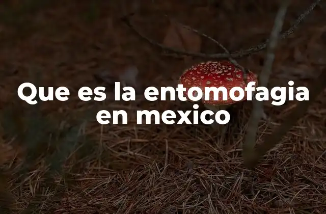 Que es la Entomofagia en Mexico