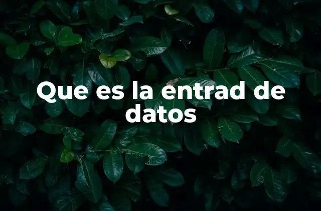Que es la Entrad de Datos