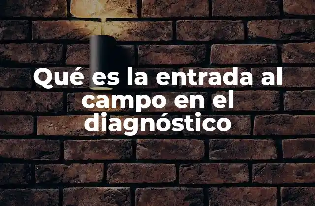 Qué es la Entrada Al Campo en el Diagnóstico