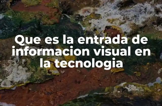 Que es la Entrada de Informacion Visual en la Tecnologia