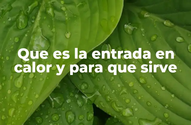 Que es la Entrada en Calor y para que Sirve