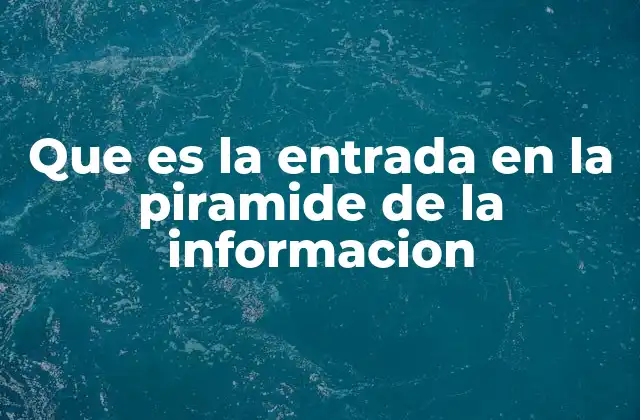 Que es la Entrada en la Piramide de la Informacion