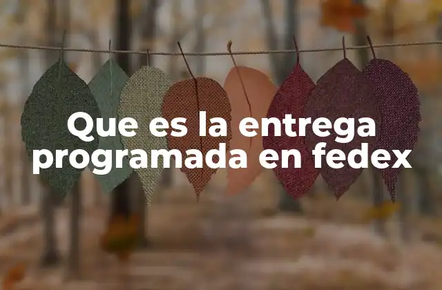 Cómo la entrega programada mejora la experiencia del usuario