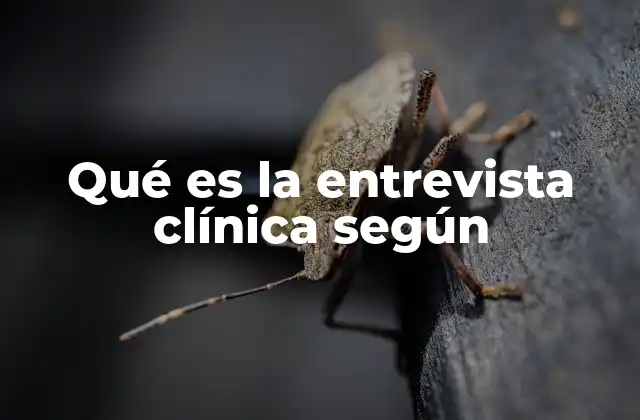 Qué es la Entrevista Clínica según