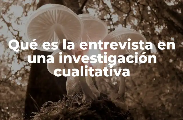 Qué es la Entrevista en una Investigación Cualitativa