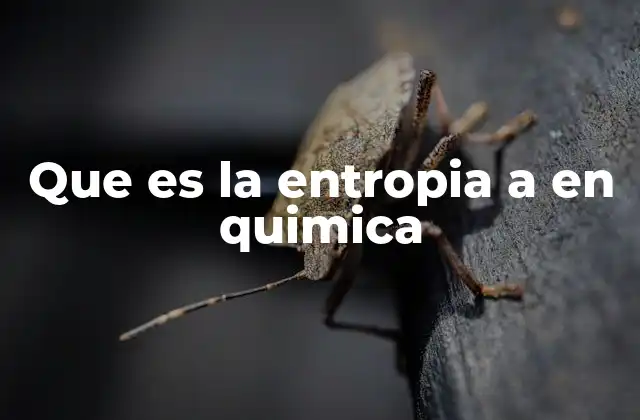 Que es la Entropia a en Quimica