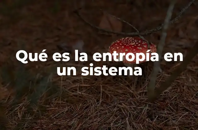 Qué es la Entropía en un Sistema