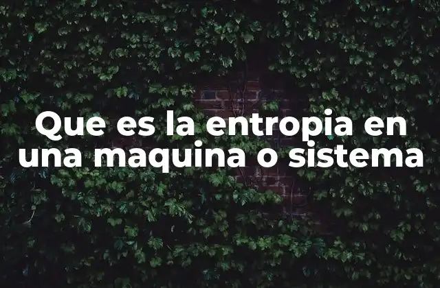 Que es la Entropia en una Maquina o Sistema