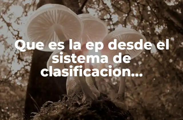 Que es la Ep desde el Sistema de Clasificacion Thornthwaite