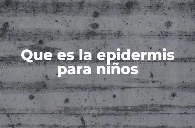 Que es la Epidermis para Niños