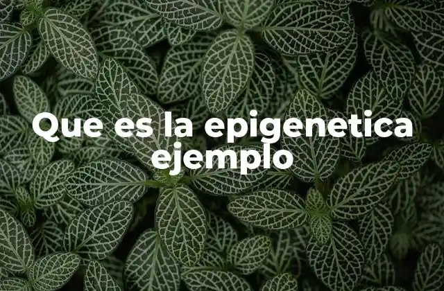 Que es la Epigenetica Ejemplo