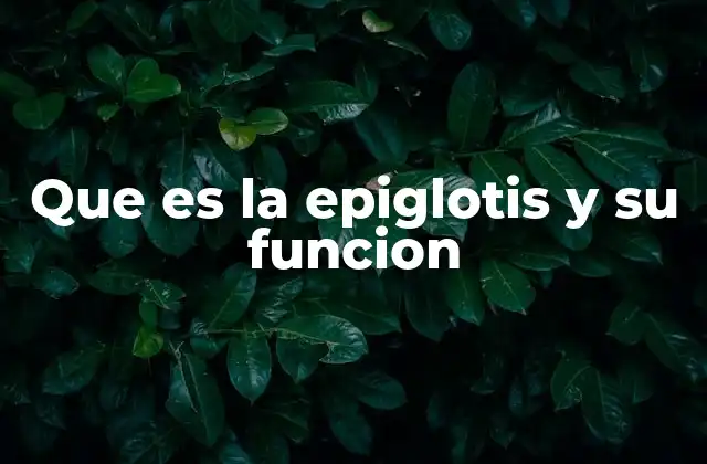 Que es la Epiglotis y Su Funcion