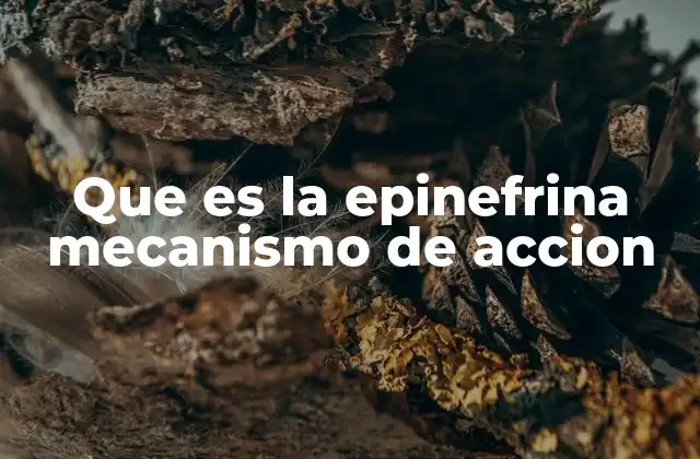 Que es la Epinefrina Mecanismo de Accion