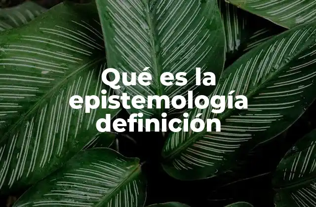 Qué es la Epistemología Definición