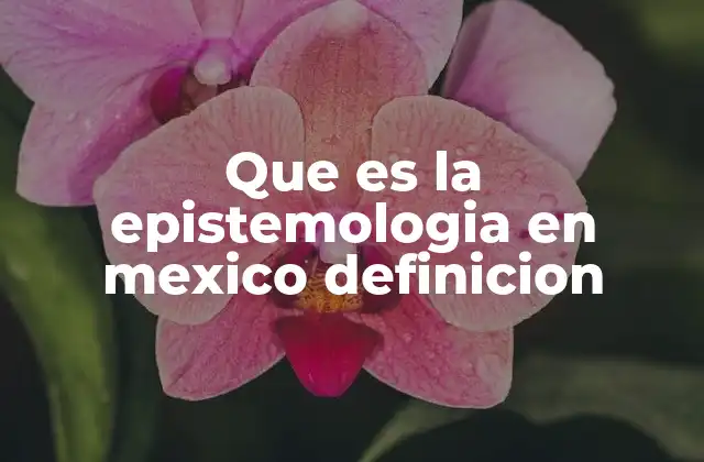 Que es la Epistemologia en Mexico Definicion