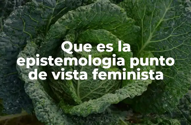 Que es la Epistemologia Punto de Vista Feminista