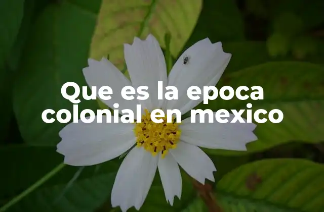 Que es la Epoca Colonial en Mexico
