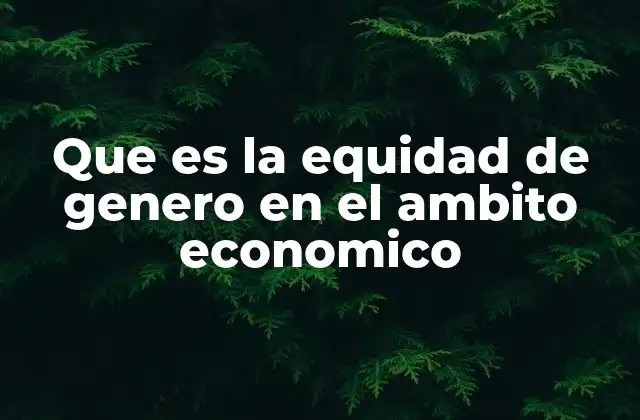 Que es la Equidad de Genero en el Ambito Economico