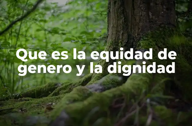 Que es la Equidad de Genero y la Dignidad