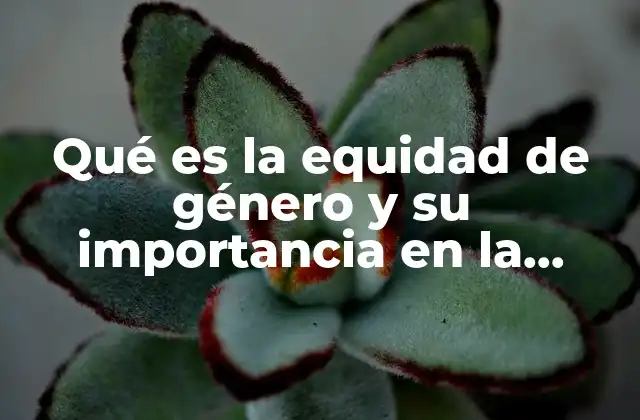 Qué es la Equidad de Género y Su Importancia en la Sociedad Actual