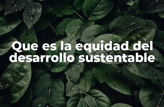 Que es la Equidad Del Desarrollo Sustentable