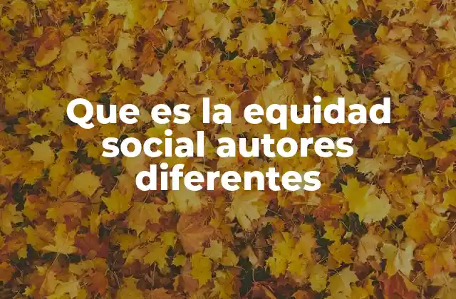 Que es la Equidad Social Autores Diferentes