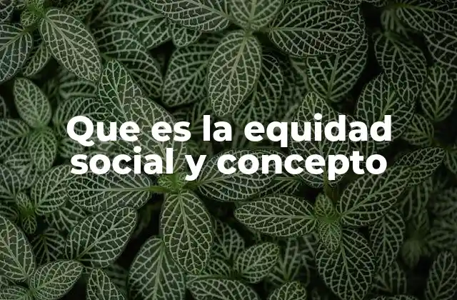 Que es la Equidad Social y Concepto