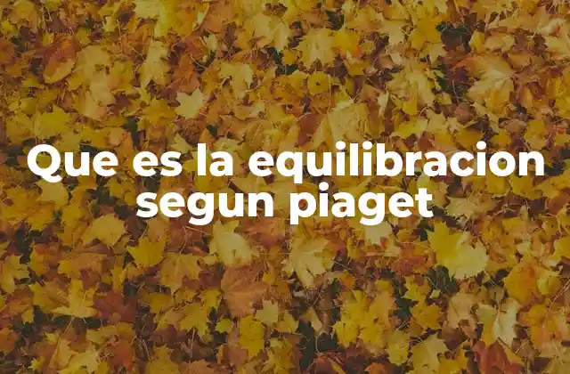 Que es la Equilibracion Segun Piaget