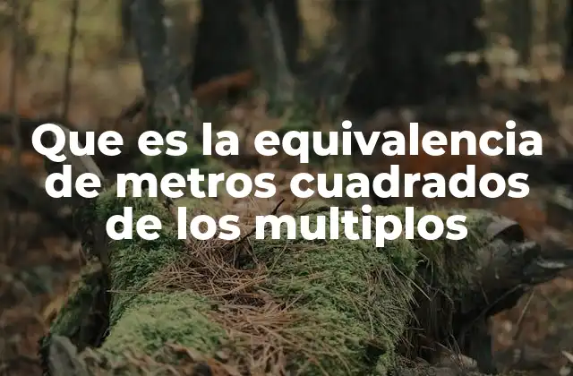 Que es la Equivalencia de Metros Cuadrados de los Multiplos
