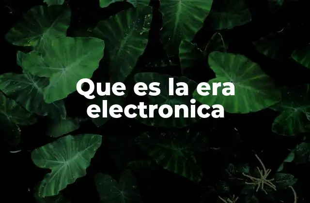 Que es la Era Electronica