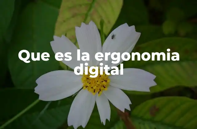 Que es la Ergonomia Digital