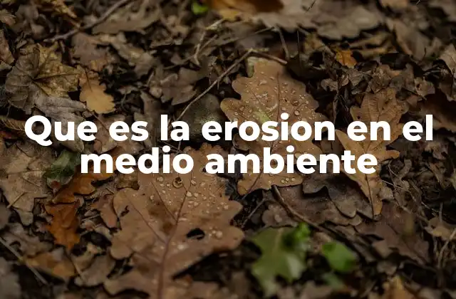 Que es la Erosion en el Medio Ambiente