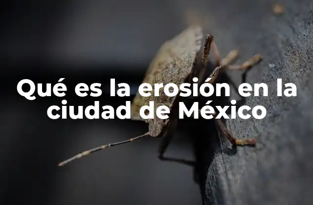 Qué es la Erosión en la Ciudad de México