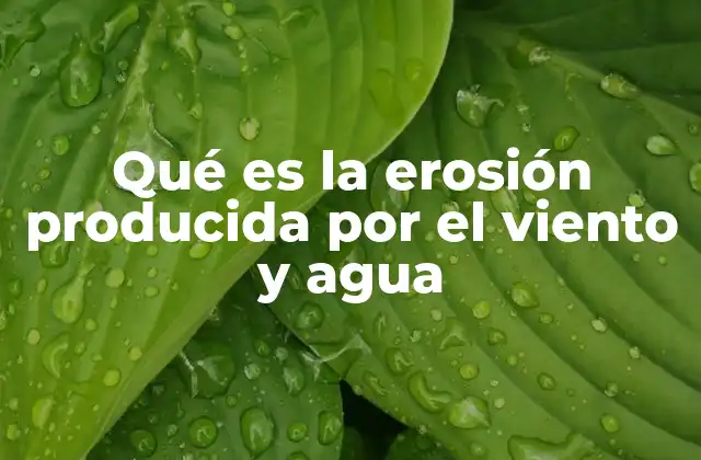 Qué es la Erosión Producida por el Viento y Agua