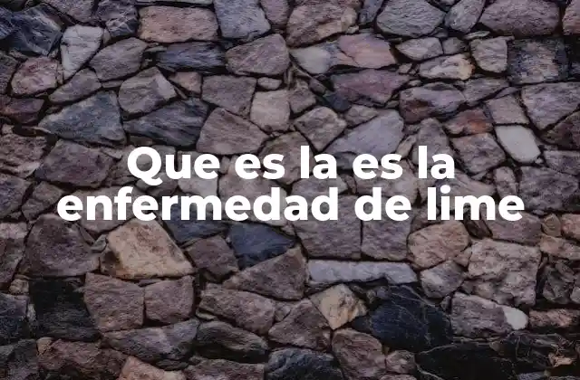Que es la es la Enfermedad de Lime