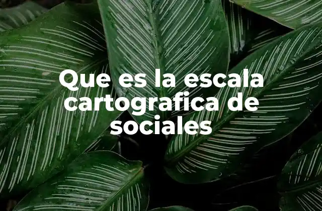 Que es la Escala Cartografica de Sociales