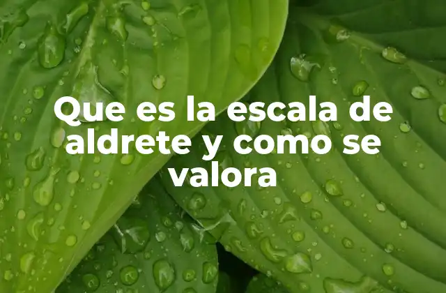 Que es la Escala de Aldrete y como Se Valora