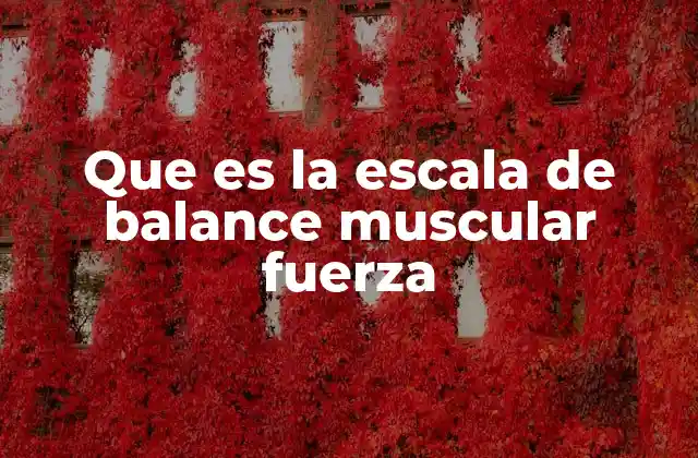 Que es la Escala de Balance Muscular Fuerza