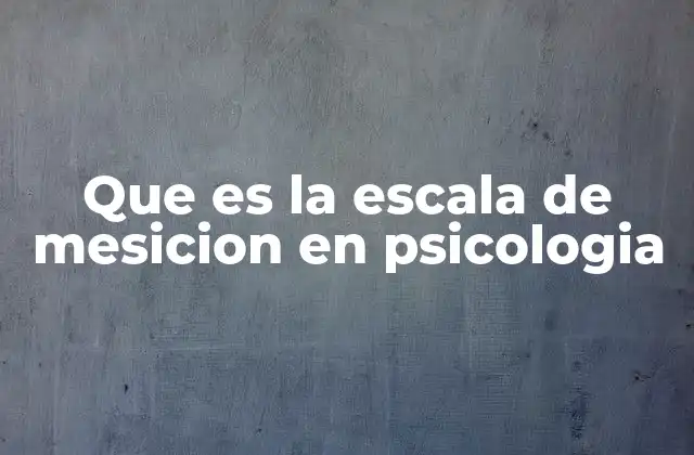 Que es la Escala de Mesicion en Psicologia