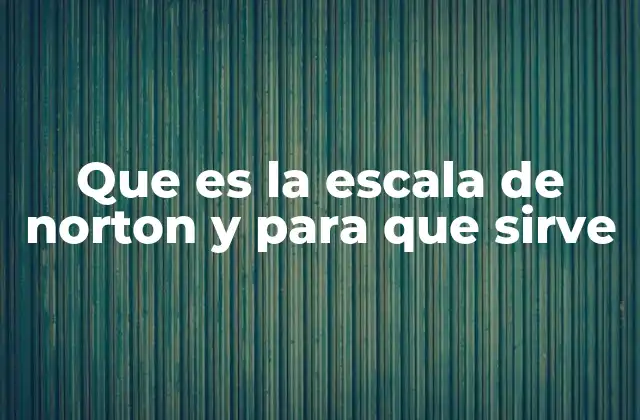 Que es la Escala de Norton y para que Sirve