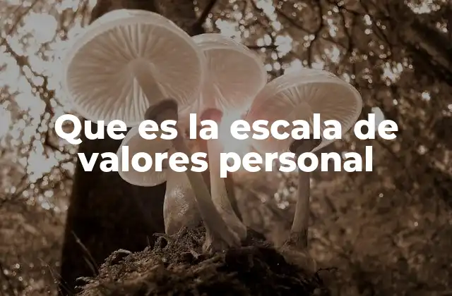 Que es la Escala de Valores Personal